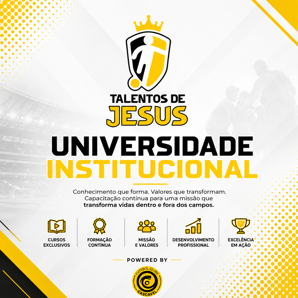Universidade Institucional
